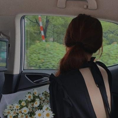 蓝鸟 (2011年电影)